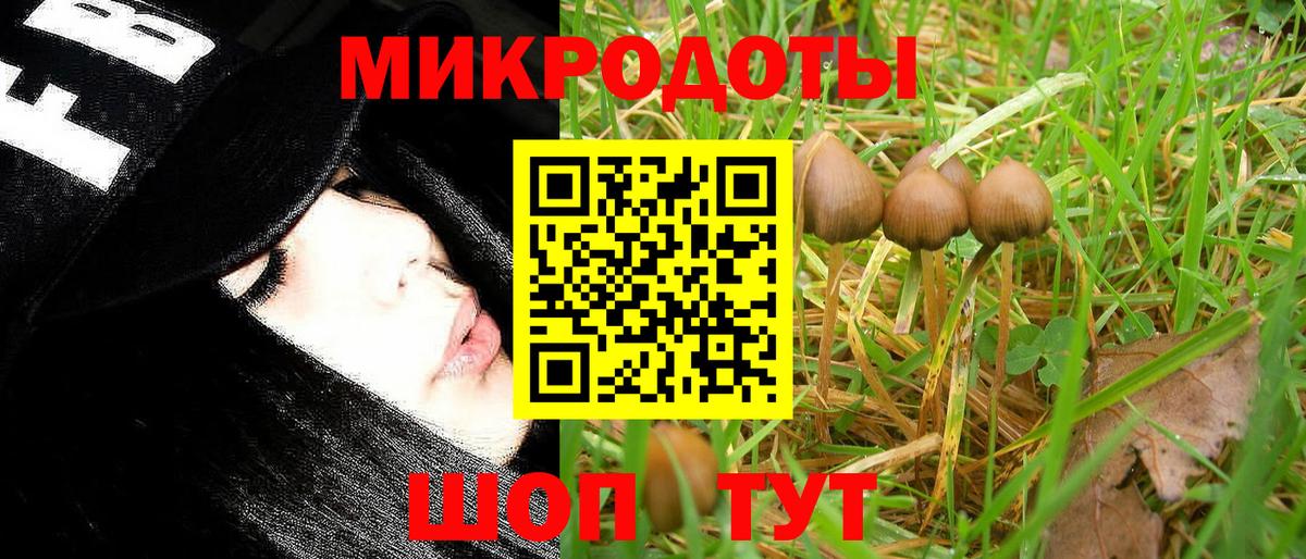 наркотики  Вход с VPN  Железногорск  Псилоцибиновые грибы MAGIC MUSHROOMS 